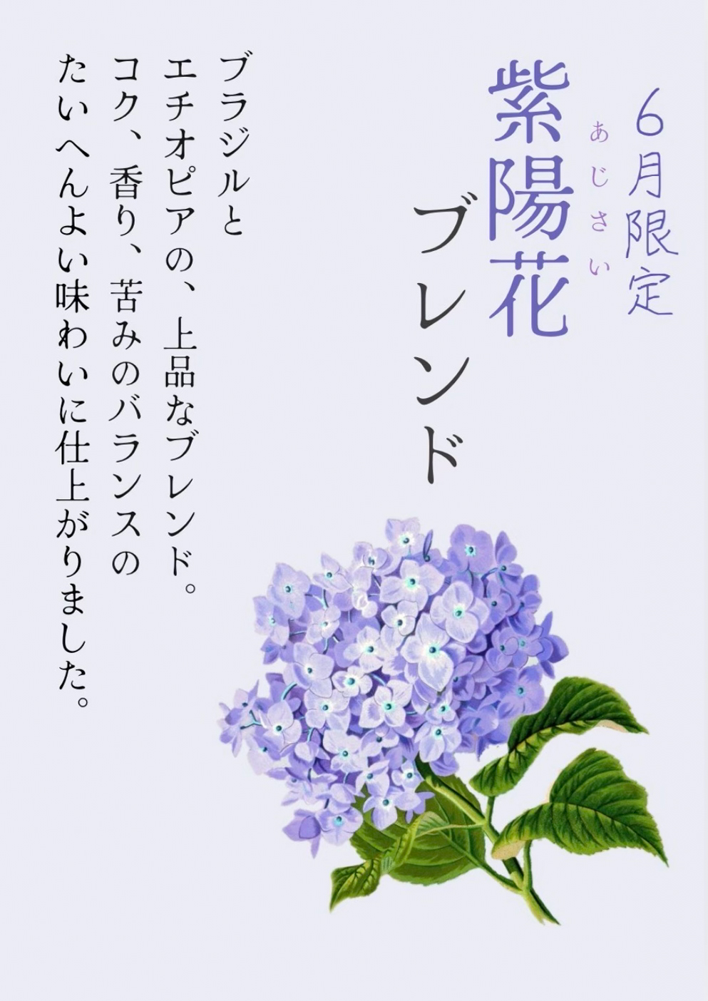 6月のおすすめ豆