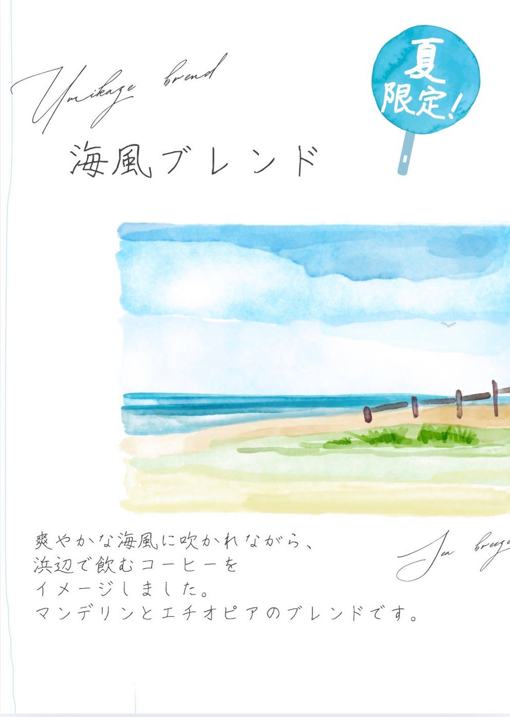 7月のおすすめ豆